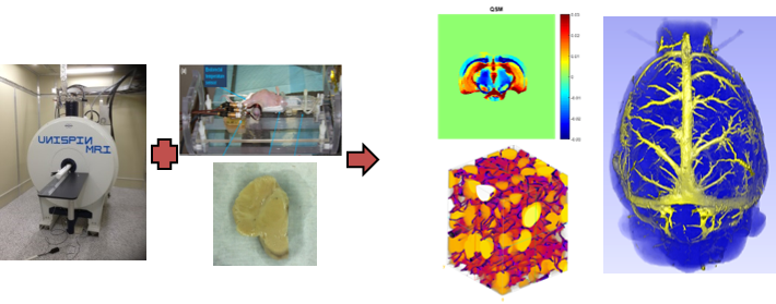 Biomedical Imaging Science and Engineering Lab(BISE)