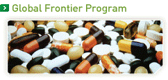 Fundamental Technology-Global Frontier Program