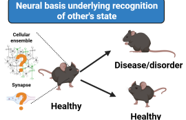 신경 회로 역학 및 전환 공학 연구실